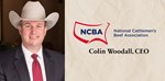 Colin Woodall Header Image (Update Article)