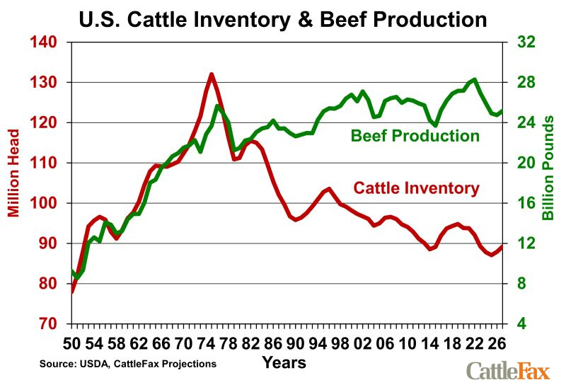 U.S. Cattle Inventory Production Numbers
