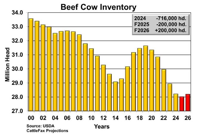 2025 Beef Cow Inventory CF