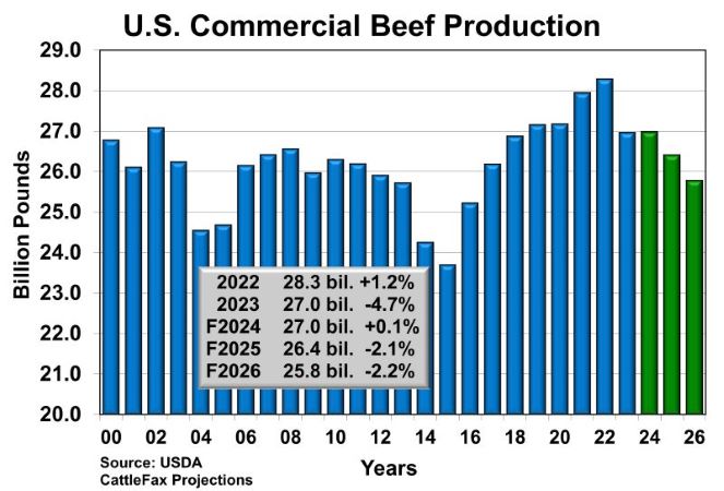 2025 Commercial Beef Production CF