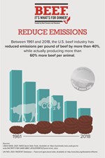 Reduce Emissions