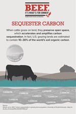 Sequester Carbon