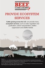 Provide Ecosystem Services