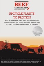 Upcycling Plants to Protein