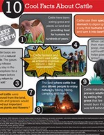 coolfactsaboutcattle_cropped.jpg