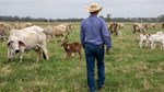 rancher in pasture