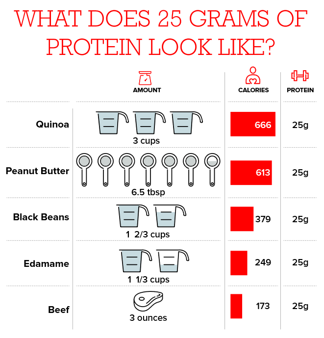 Meat Protein Chart
