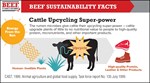 Cattle Upcycling Power