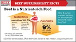 Beef as a Nutrient-Rich food