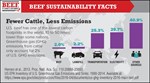 Cattle Emissions